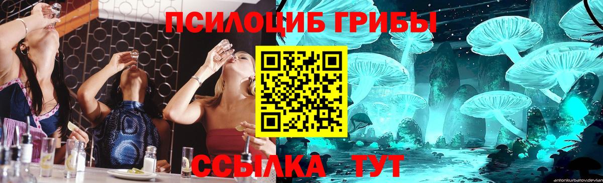 Псилоцибиновые грибы мухоморы Ефремов