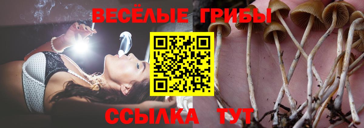 Галлюциногенные грибы мицелий  Вход с VPN  Ефремов  Галлюциногенные грибы прущие грибы 